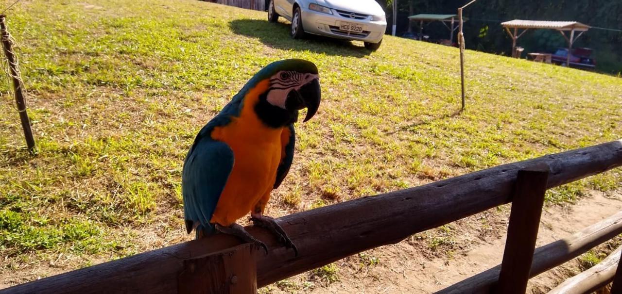 Chales Pesqueiro Sitio Do Aconchego Pôrto Feliz Eksteriør billede